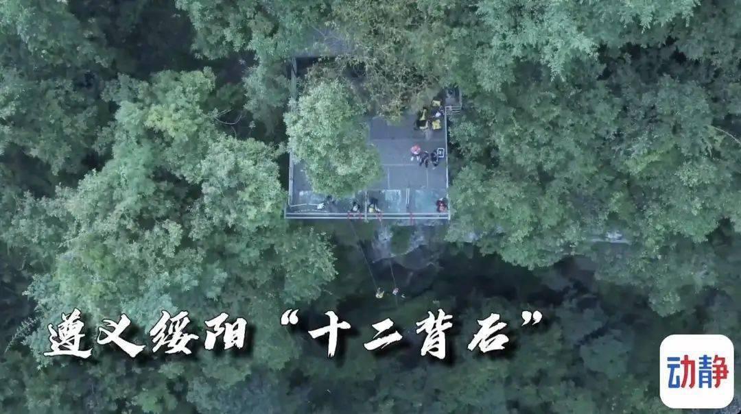 迈瑞医疗66亿溢价三成“A吃A” 入主惠泰医疗布局心血管领域